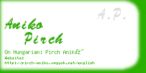 aniko pirch business card